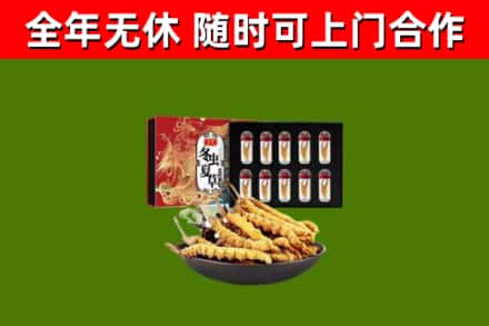 巢湖市回收冬虫夏草价格